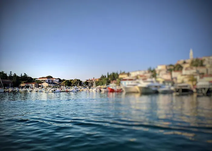 Romana Soul * 브르사르